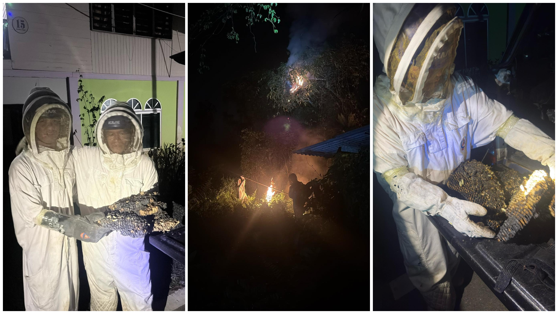 Limbang APM Successfully Destroys Dangerous Insect Nest in Kampung Medait