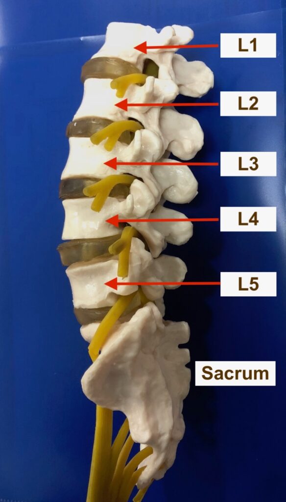 Relief from Back Pain: Top Pain Doctor Now in Kuching 2 1