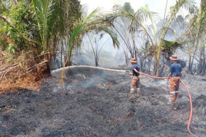 Fire Destroys 12 Hectares in Mukah