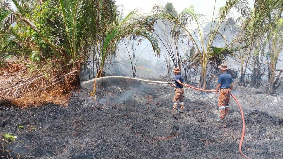 Fire Destroys 12 Hectares in Mukah