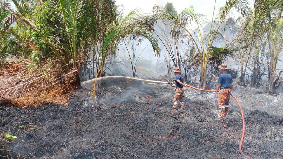 Fire Destroys 12 Hectares in Mukah 2 Fire Destroys 12 Hectares in Mukah