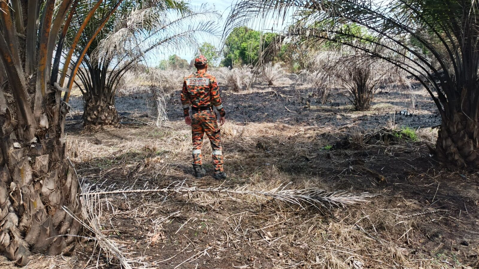 Heavy Rain Helps Mukah Rumbia Farm Fire Fully Extinguished