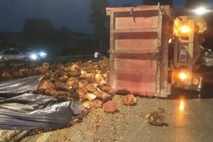 Lorry Overturns in Sibu, Palm Fruits Scattered and Diesel Spills