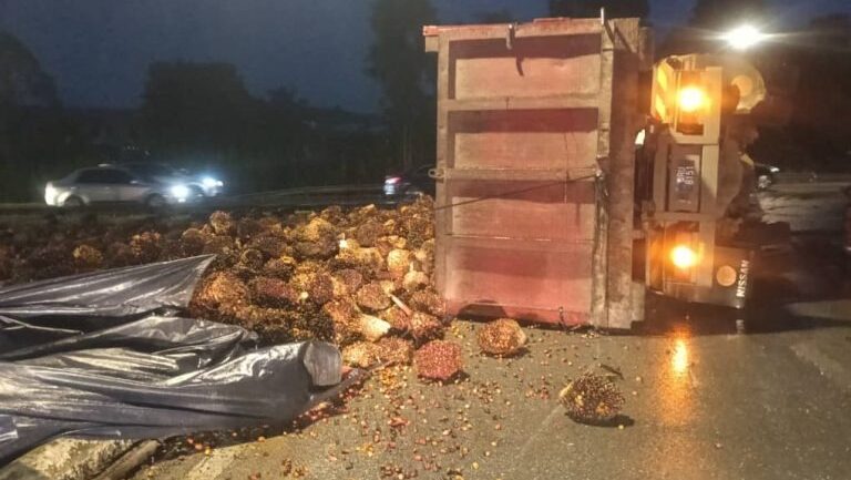 Lorry Overturns in Sibu, Palm Fruits Scattered and Diesel Spills