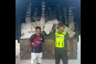PGA Foils RM1.3mil Bonsai Smuggling Bid at Kelantan Border