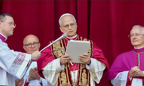 Cardinal Robert Prevost elected as New Pope, Takes the Name Pope Leo XIV 3 Pope Leo XIV, New Pope, New Pope Election