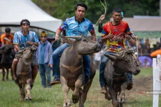 Babulang Festival Boosts Cultural and Tourism Growth in Limbang
