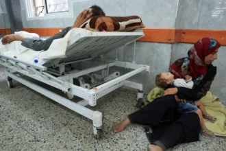 Dozens Killed as Israeli Forces Open Fire at Gaza Aid Sites
