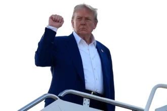 Trump Questions NATO Article 5 Obligations Ahead of The Hague Summit