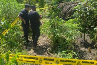 87yo Hunter Mistakes Woman for Animal, Fatally Shoots Her in Serian