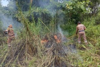 Bush Fire Near Kampung Seberang Bridge Promptly Extinguished by Firefighters