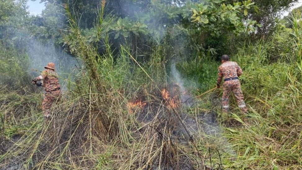 Bush Fire Near Kampung Seberang Bridge Promptly Extinguished by Firefighters