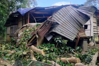 Fallen Tree Destroys Kitchen in Kampung Kerangan, Lawas