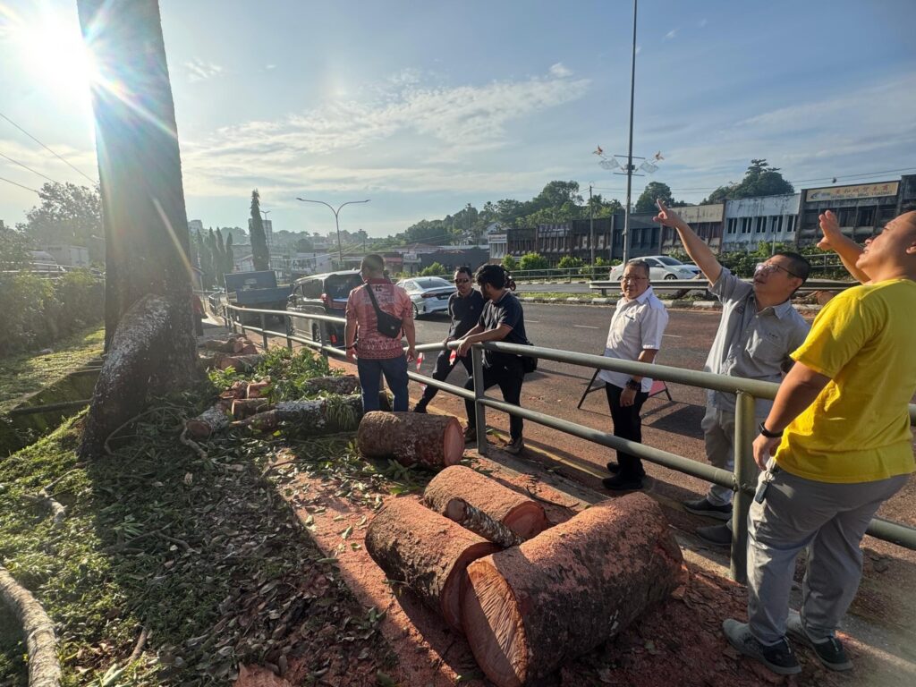 MBKS Responds Swiftly to Fallen Tree Incident, Mayor Praises Unsung Heroes 2 MBKS Responds Swiftly to Fallen Tree Incident, Mayor Praises Unsung Heroes