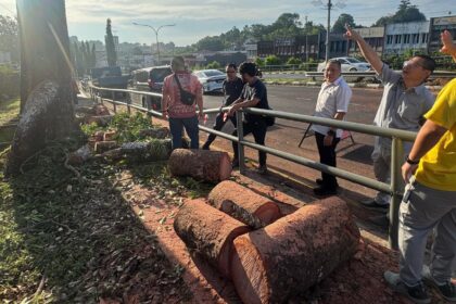 MBKS Responds Swiftly to Fallen Tree Incident, Mayor Praises Unsung Heroes