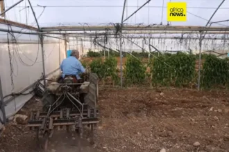 Moroccan Agency Supports Palestinian Farmers with Tools and Irrigation Aid