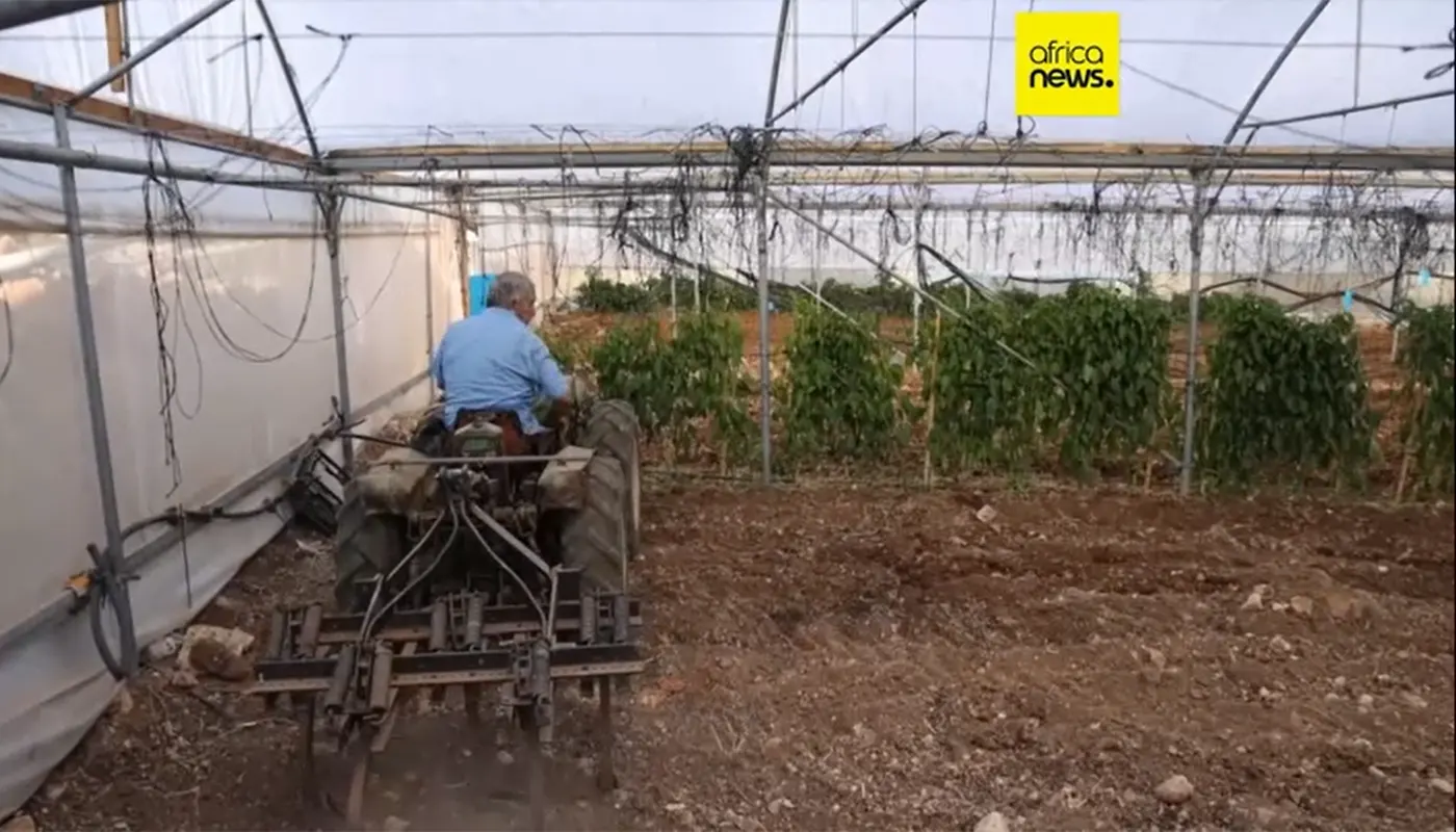 Moroccan Agency Supports Palestinian Farmers with Tools and Irrigation Aid