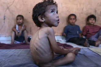 One‑Third of Gazans Starving for Days in “Astonishing” Crisis, WFP Says