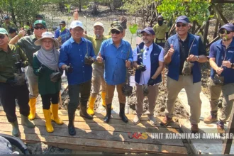 SFC and Mubadala Advance Mangrove Conservation in Kuching Wetland National Park