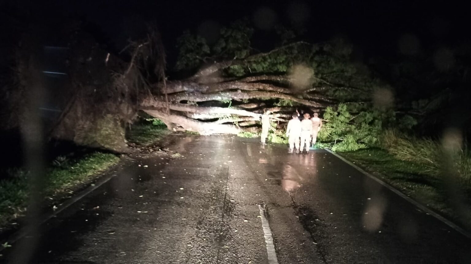 Strong Winds and Heavy Rain Wreak Havoc Across Miri Neighborhoods