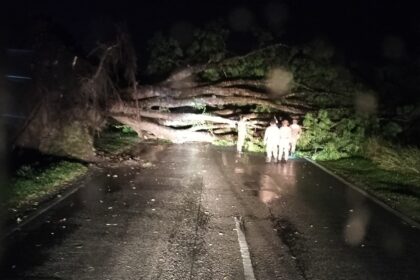 Strong Winds and Heavy Rain Wreak Havoc Across Miri Neighborhoods