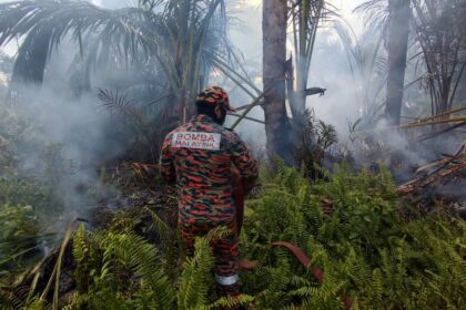 Swift Action by Firefighters Prevents Spread of Bush Fire in Mukah