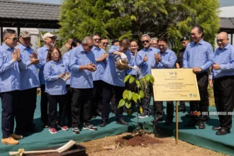Utilise 3D Forest Technology For Carbon Trading