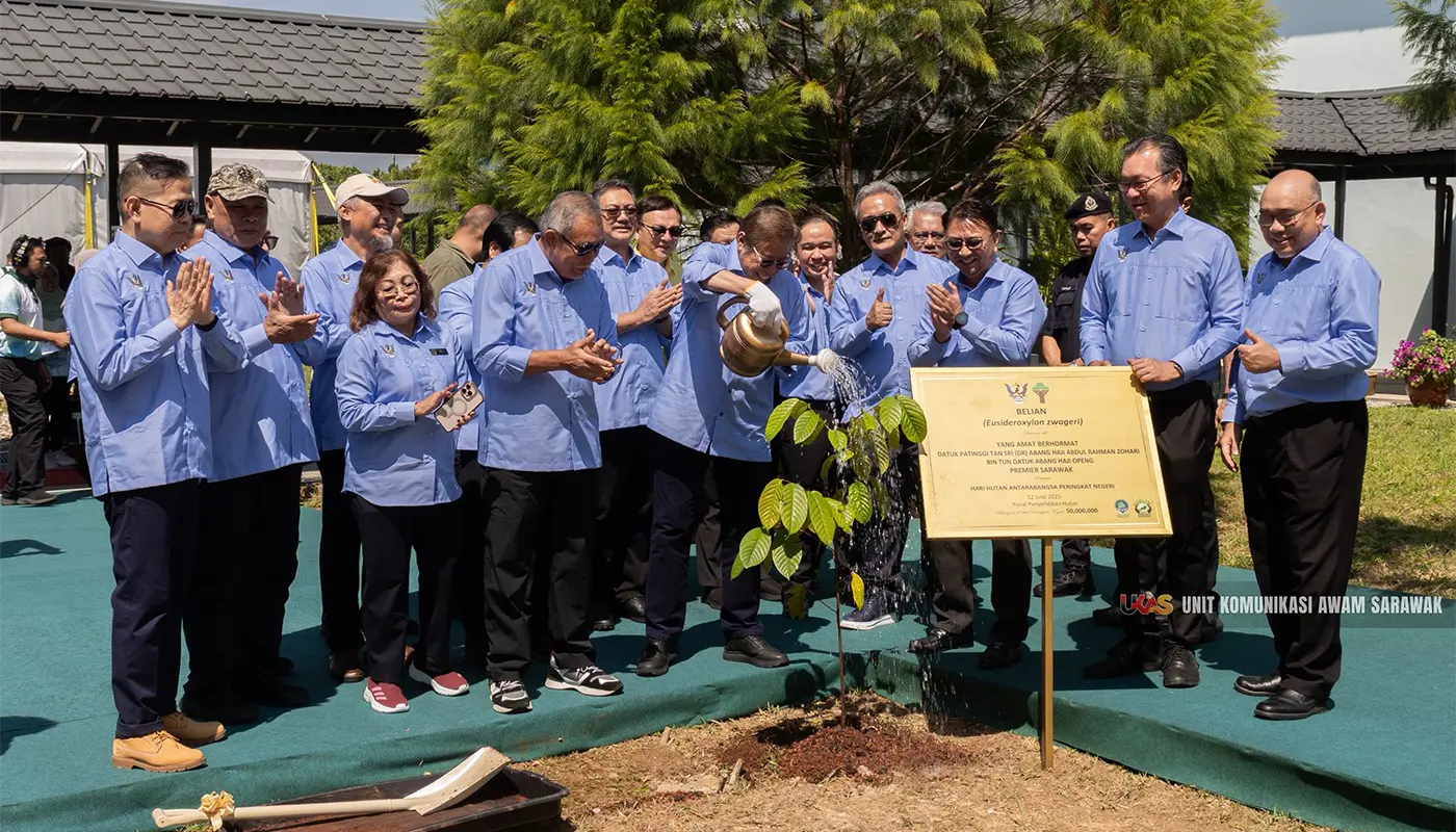 Utilise 3D Forest Technology For Carbon Trading