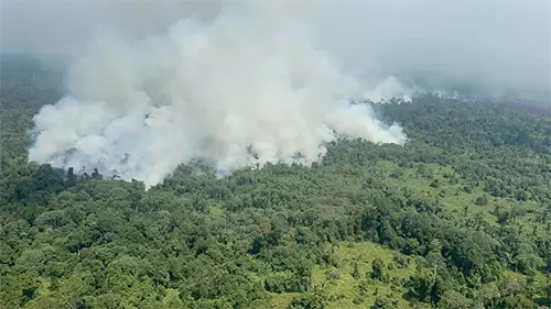 Mukah Authorities Tighten Coordination as Forest Fires Intensify Near Airport 3 mukah fire 1