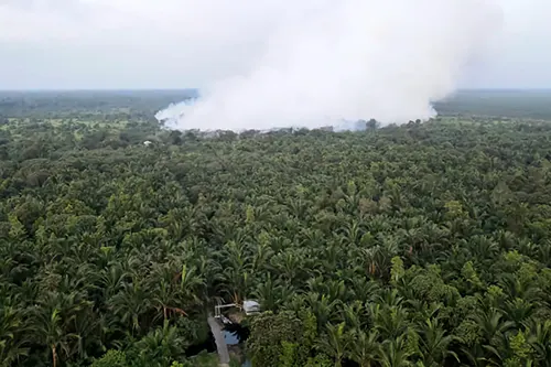 Mukah Authorities Tighten Coordination as Forest Fires Intensify Near Airport 2 mukah fire 2