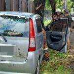 Elderly Man Hurt After Car Crashes Into Tree at Hui Sing Roundabout