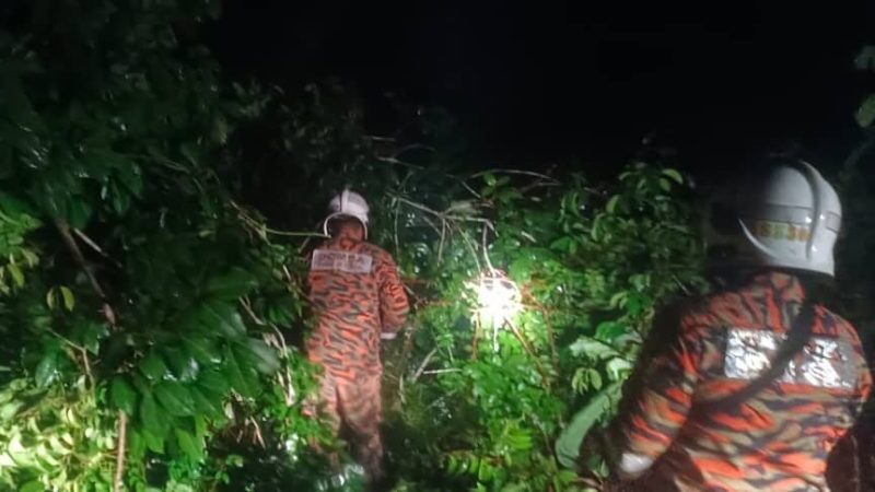 Fallen Tree Snags Electricity Cable on Hua Ban Street in Sarikei