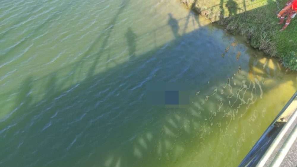 A Man's Body Found Floating in Public University Campus Lake 1 A Man's Body Found Floating in Public University Campus Lake