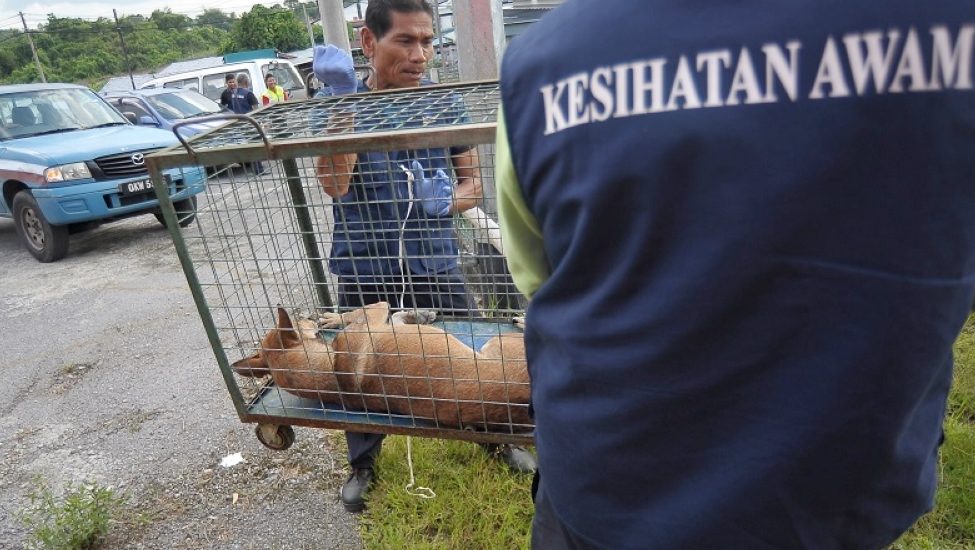 Mayor Wee Alerts Public to Rabies Outbreak: Two Cases Reported in Bau and Kuching 1 Mayor Wee Alerts Public to Rabies Outbreak Two Cases Reported in Bau and Kuching