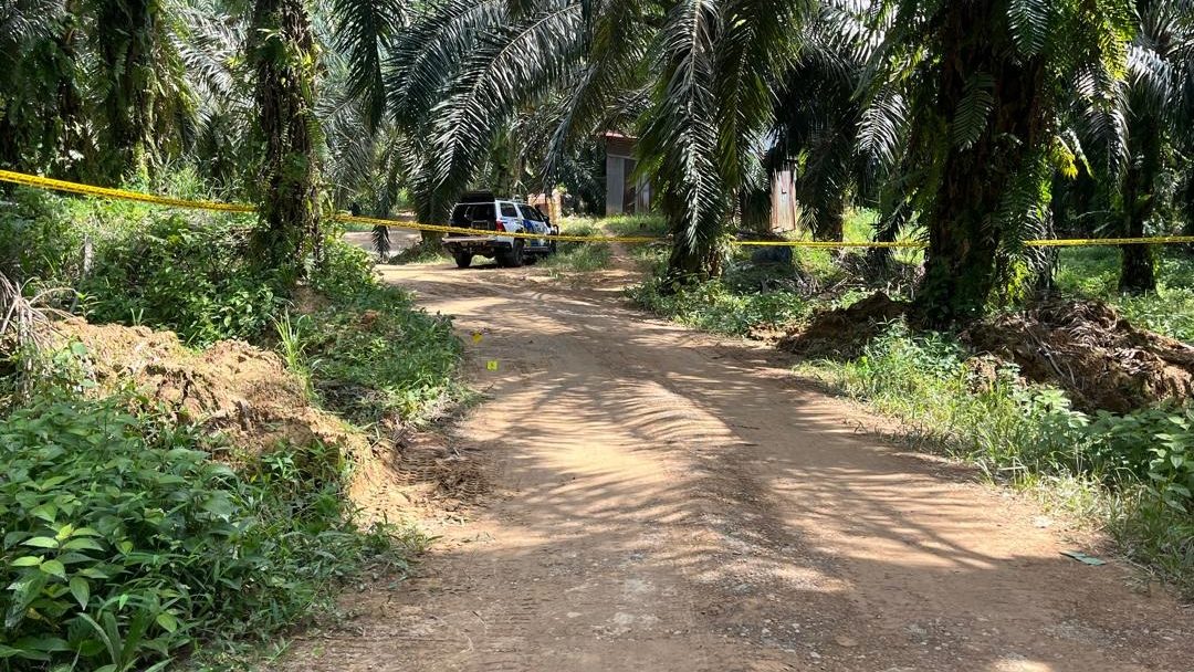 Tragic Murder at Niah Oil Palm Estate: Foreign National Found with Multiple Gunshot Wounds 1 Tragic Murder at Niah Oil Palm Estate Foreign National Found with Multiple Gunshot Wounds