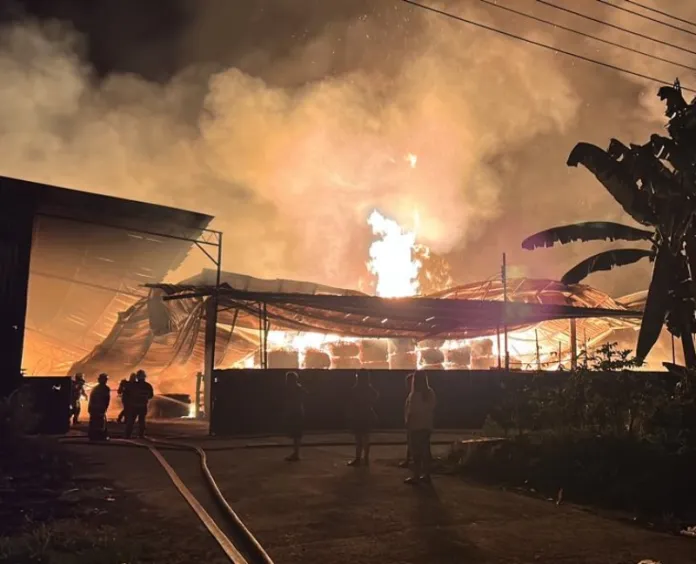 Fire Destroys Bintulu Chip Storage Facility, Causes Major Damage 2 Fire Destroys Bintulu Chip Storage Facility, Causes Major Damage