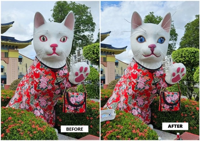 Padungan White Cat’s Outfit Sparks Debate: Mayor Clarifies Intentions 2 Padungan White Cat’s Outfit Sparks Debate Mayor Clarifies Intentions