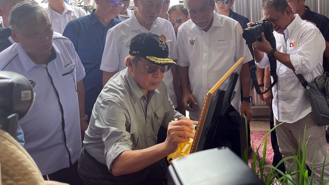 Unimas Develops Hybrid Paddy Seeds to Boost Sarawak’s Rice Output