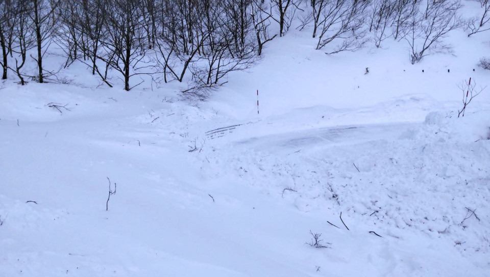 Avalanche Strands Over 100 Tourists at Fukushima Hot Spring Resort
