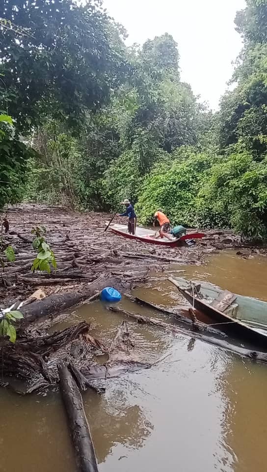 Logjam Crisis at Sungai Krangan NREB Investigates Source of Debris