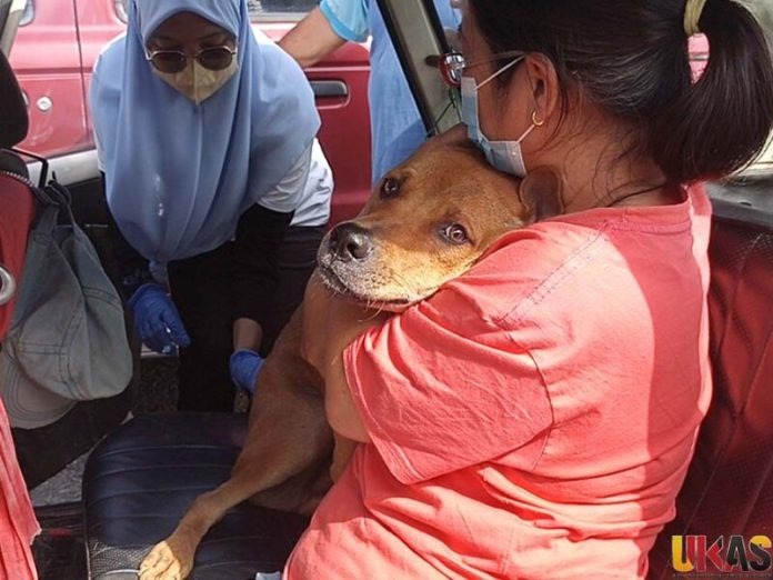 MBKS Launches Mass Anti-Rabies Vaccination Drive Starting Feb 15 2 MBKS Launches Mass Anti-Rabies Vaccination Drive Starting Feb 15