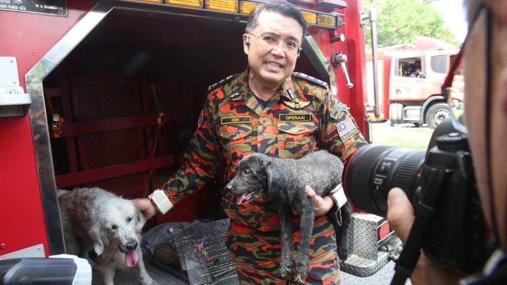 Brave Volunteer Firefighters Rescue Pets from Puchong Gas Inferno