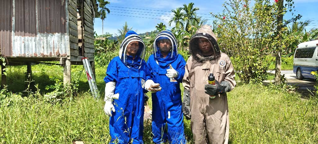 Insect Nest Destroyed by Limbang Bravo Squad to Ensure Public Safety 2 Insect Nest Destroyed by Limbang Bravo Squad to Ensure Public Safety