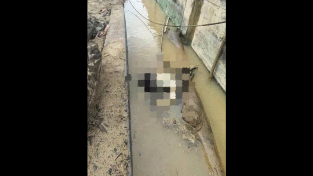 Missing Man Found Dead by Sibu River, Case Classified as Sudden Death 2 Missing Man Found Dead by Sibu River, Case Classified as Sudden Death
