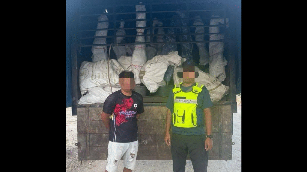PGA Foils RM1.3mil Bonsai Smuggling Bid at Kelantan Border 2 PGA Foils RM1.3mil Bonsai Smuggling Bid at Kelantan Border