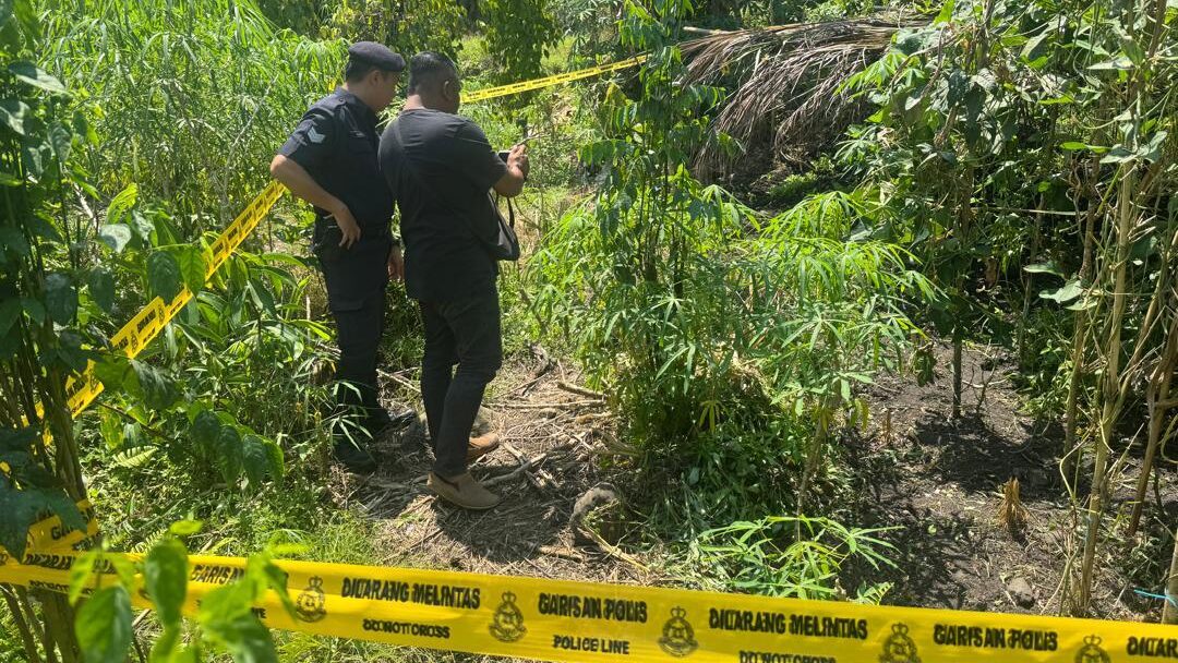 87yo Hunter Mistakes Woman for Animal, Fatally Shoots Her in Serian 1 87yo Hunter Mistakes Woman for Animal, Fatally Shoots Her in Serian