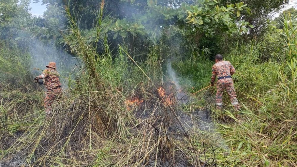 Bush Fire Near Kampung Seberang Bridge Promptly Extinguished by Firefighters 2 Bush Fire Near Kampung Seberang Bridge Promptly Extinguished by Firefighters