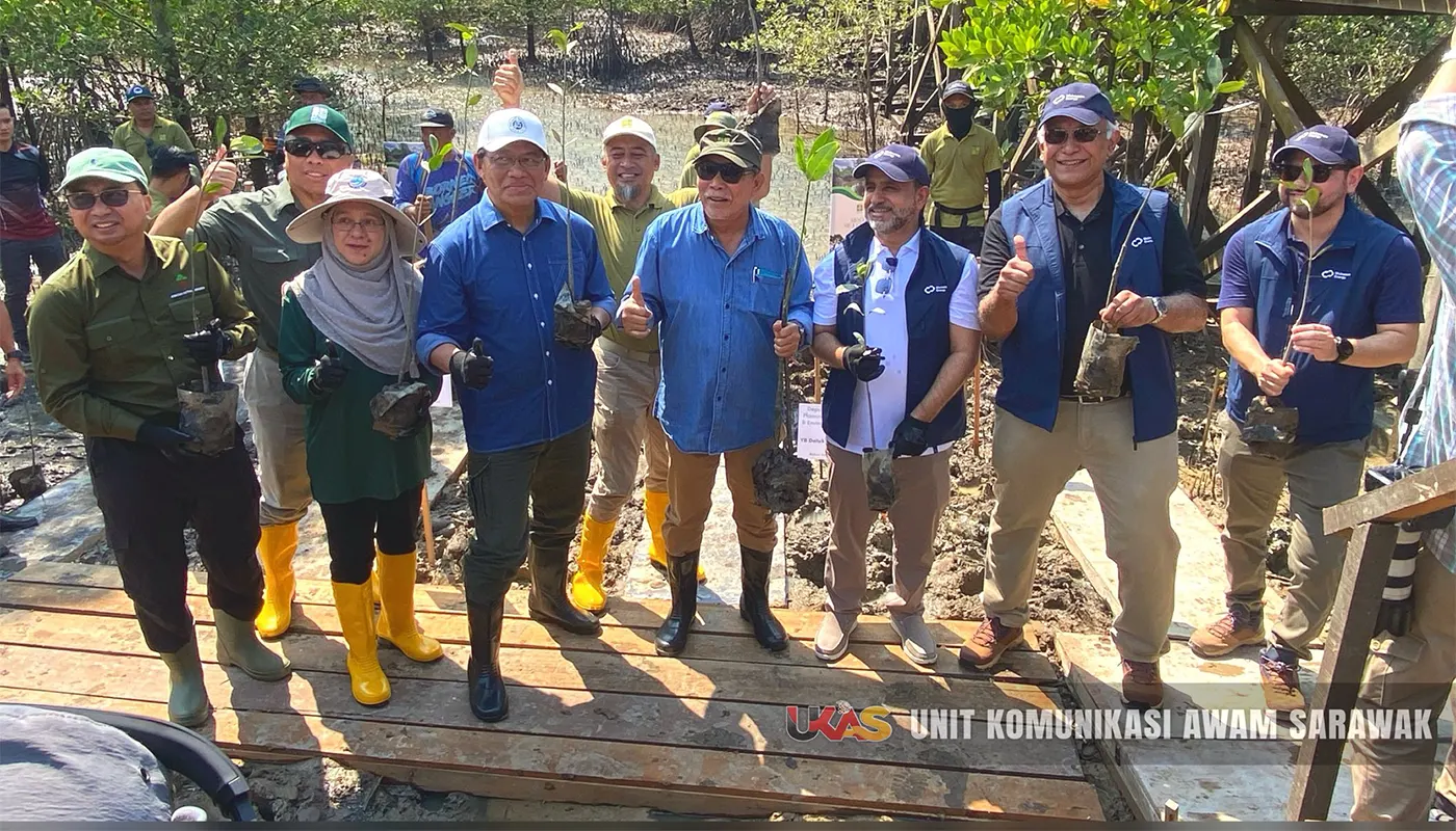 SFC and Mubadala Advance Mangrove Conservation in Kuching Wetland National Park 1 SFC and Mubadala Advance Mangrove Conservation in Kuching Wetland National Park