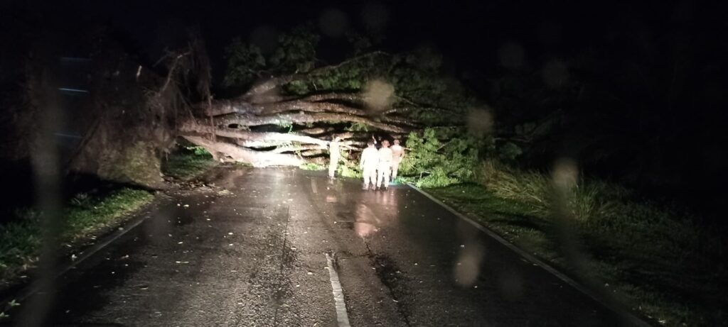 Strong Winds and Heavy Rain Wreak Havoc Across Miri Neighborhoods 2 Strong Winds and Heavy Rain Wreak Havoc Across Miri Neighborhoods