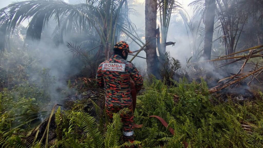 Swift Action by Firefighters Prevents Spread of Bush Fire in Mukah